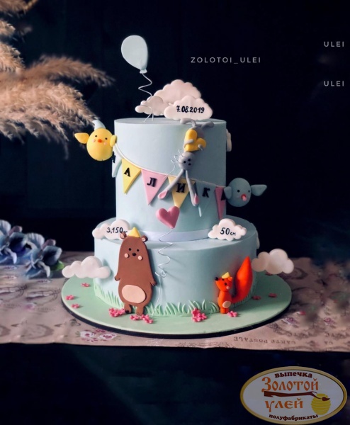 Торт на выписку